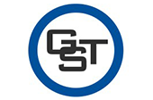 Gst Logo